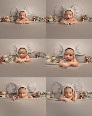 Six professional studio portraits of a baby against a neutral background with stuffed animals and angel wings decorations.