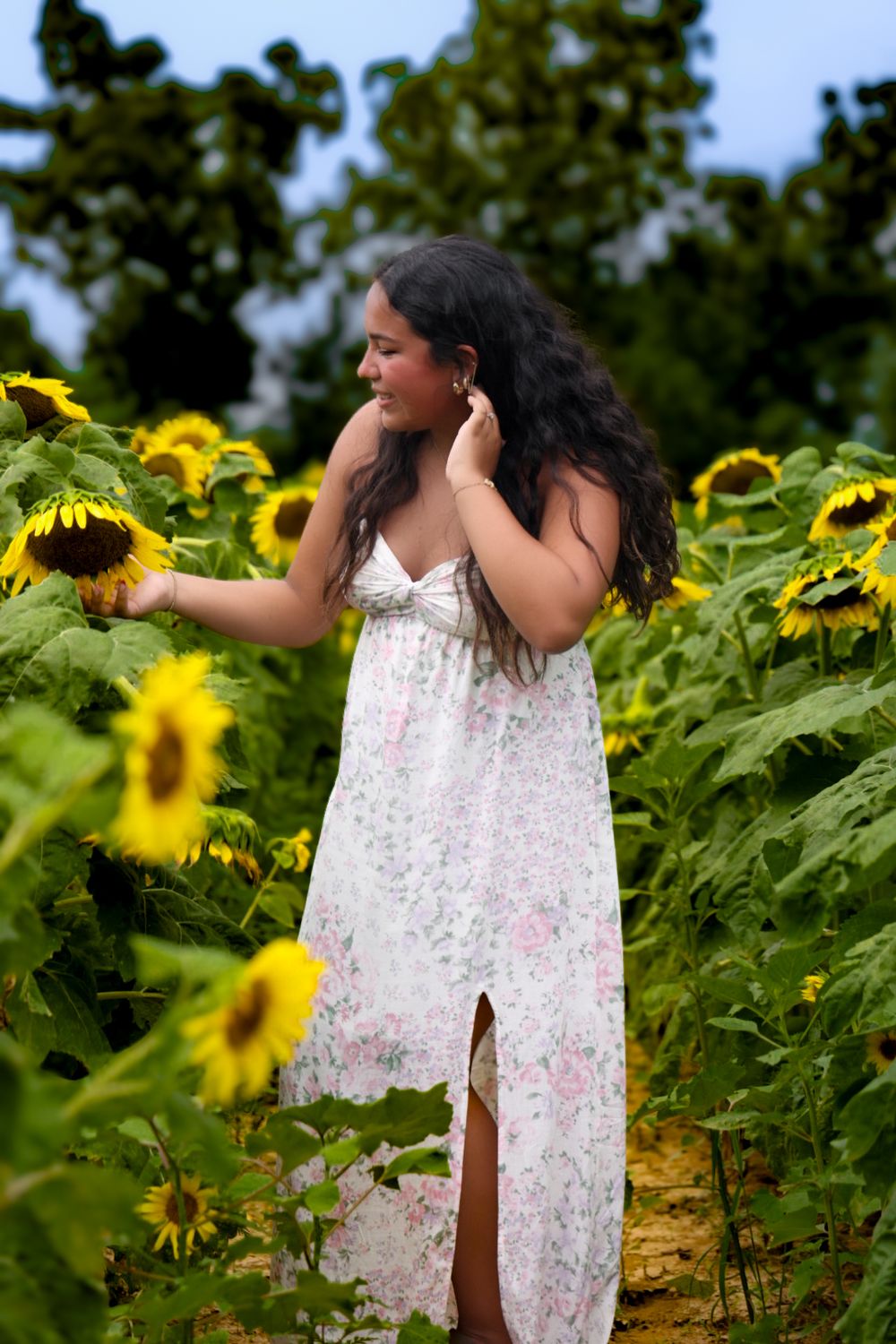 Young woman in floral sundress reaches toward sunflowers in a vibrant summer sunflower field.