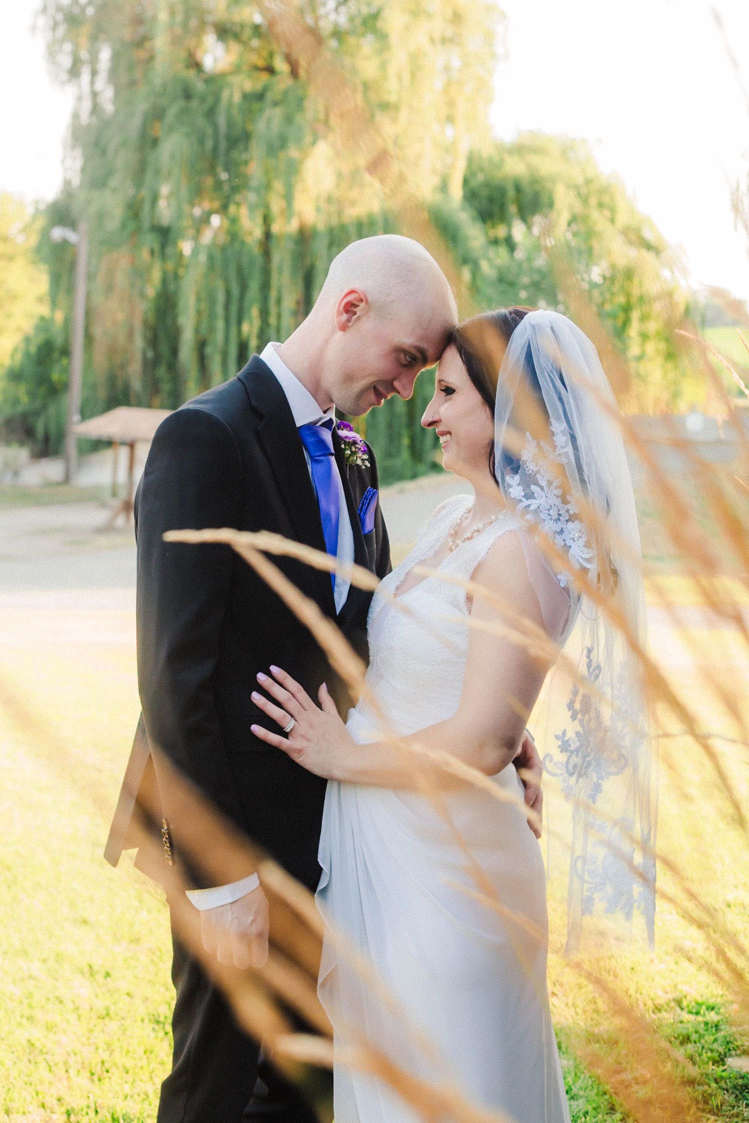 A romantic outdoor wedding portrait against a backdrop of willow trees in warm golden sunlight.