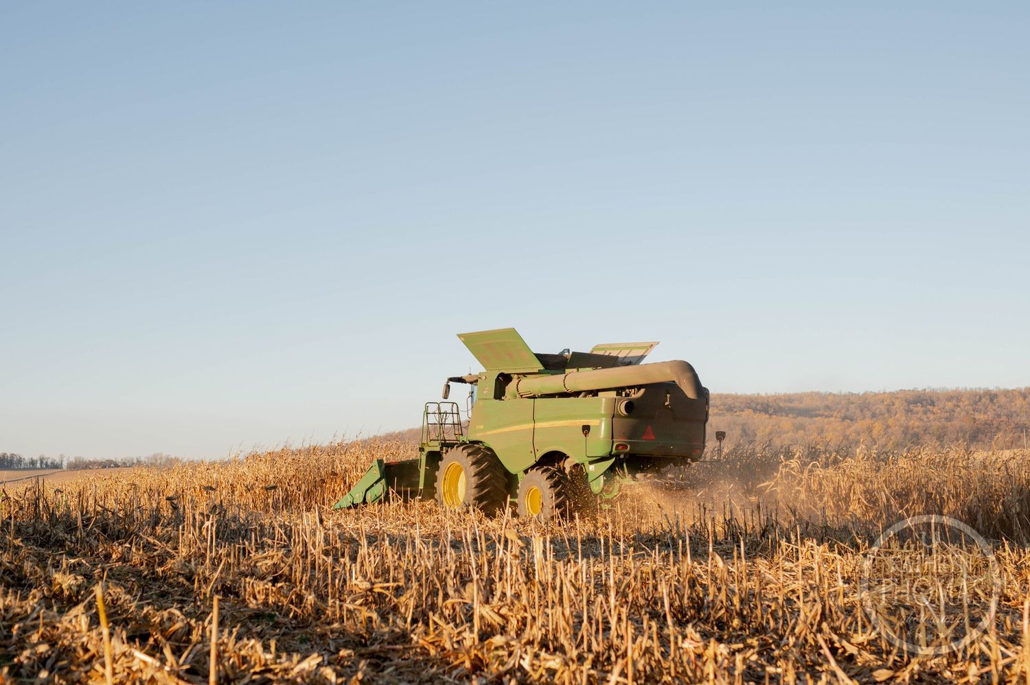 A combine harvester working in a golden cornfield during harvest season.