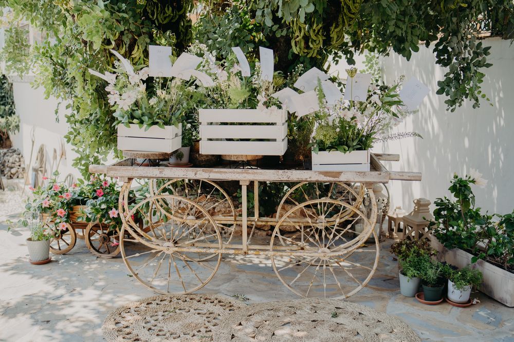 Rustic wooden cart decorated with white flower boxes and plants against a white wall with climbing greenery.