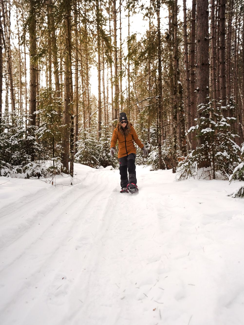 Snow-covered forest trail with winter adventurers exploring in the golden afternoon light.