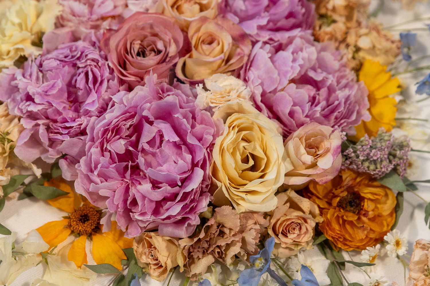Close-up of vibrant dried pressed flowers in red, yellow, and pink in a wooden box.