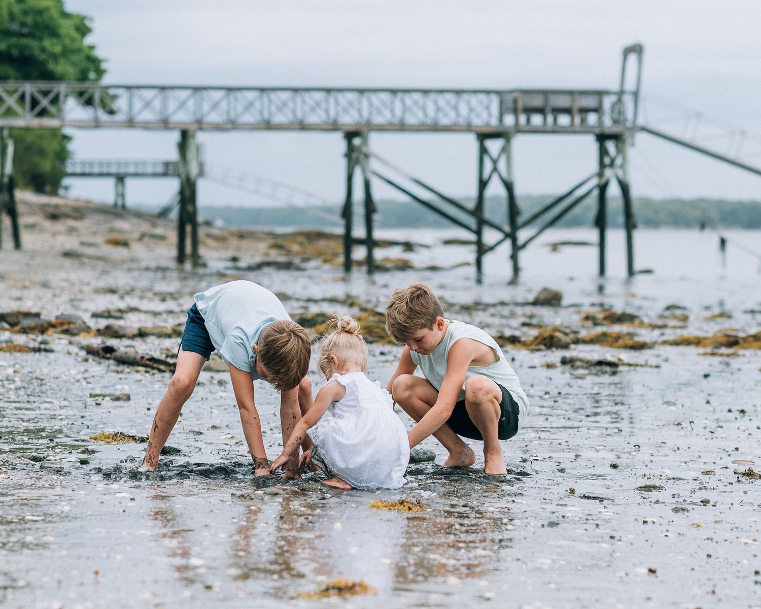 Three people explore the tidal flats near a wooden pier during low tide.