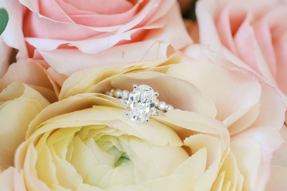 Close up of delicate pink and cream roses with a sparkling diamond ring.