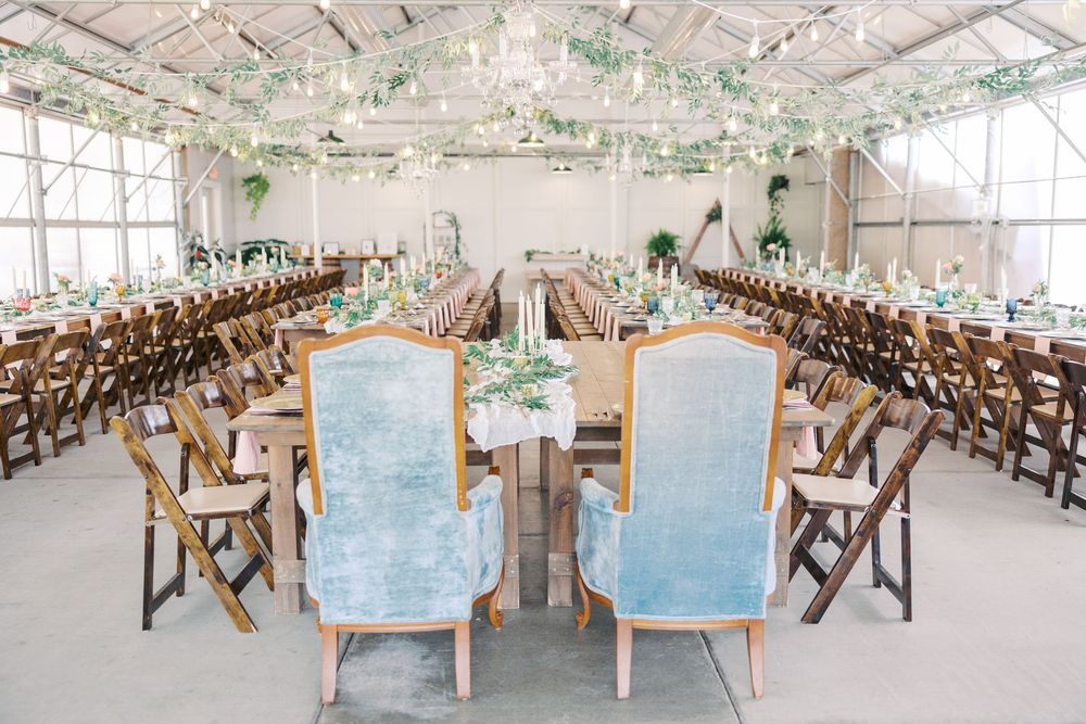 Wedding reception setup with wooden chairs and two upholstered blue chairs at the head table in a bright conservatory.