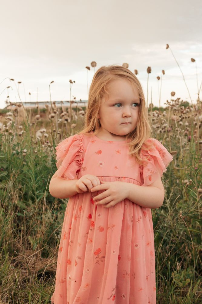 Westminster family  focused photographer captures child exploring sunlit garden path in coral dress, timeless childhood moment