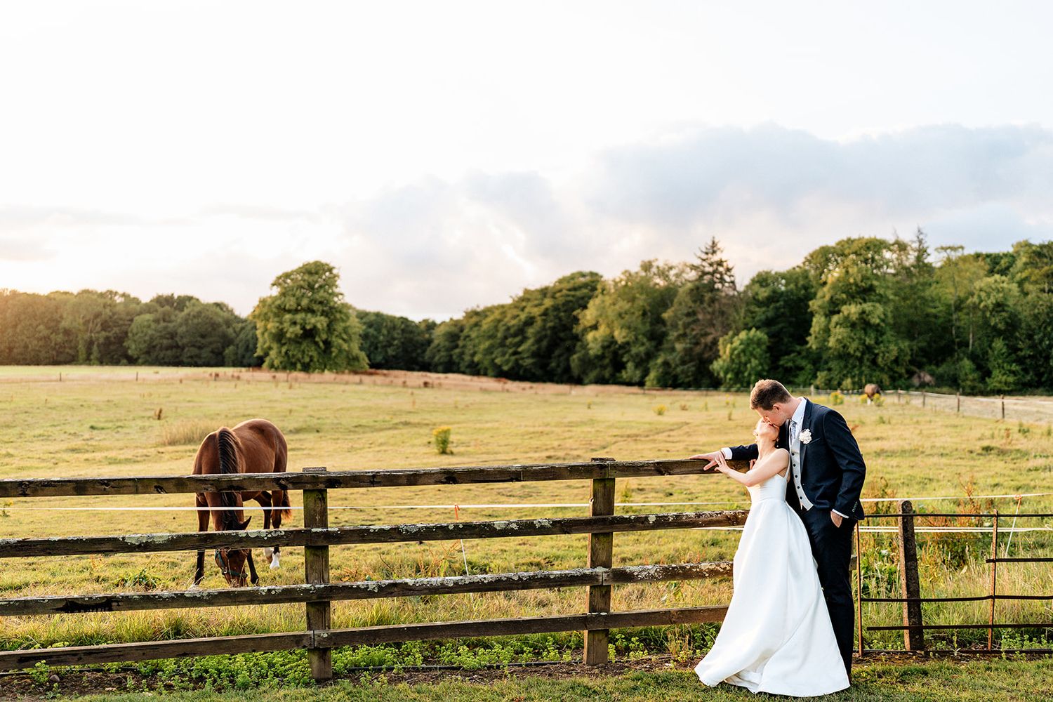 A wedding couple walks through golden countryside pastures with horses and wooden fences creating a romantic rustic scene.