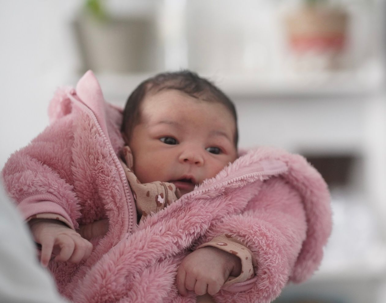 Newborn wrapped in soft pink blanket during studio photography session.