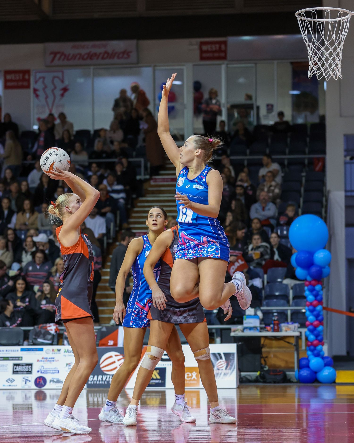 Images by Dan, Adelaide based Sports Photographer, Event Photographer, Headshot Photographer, Portrait Photographer