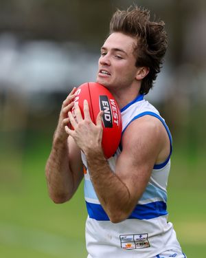 Images by Dan, Adelaide based Sports Photographer, Event Photographer, Headshot Photographer, Portrait Photographer