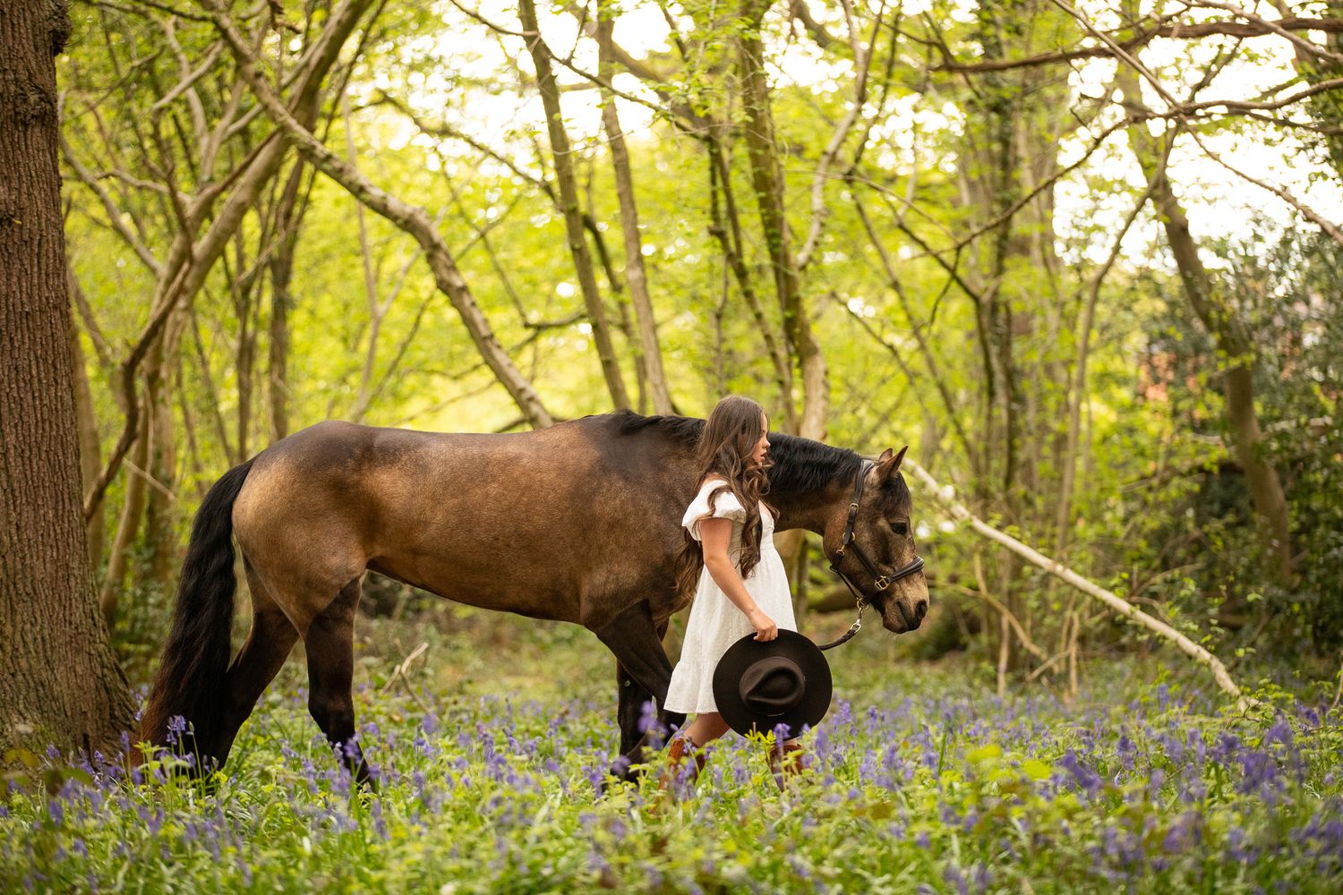 A brown horse and person stand together in a woodland clearing filled with blooming bluebells.