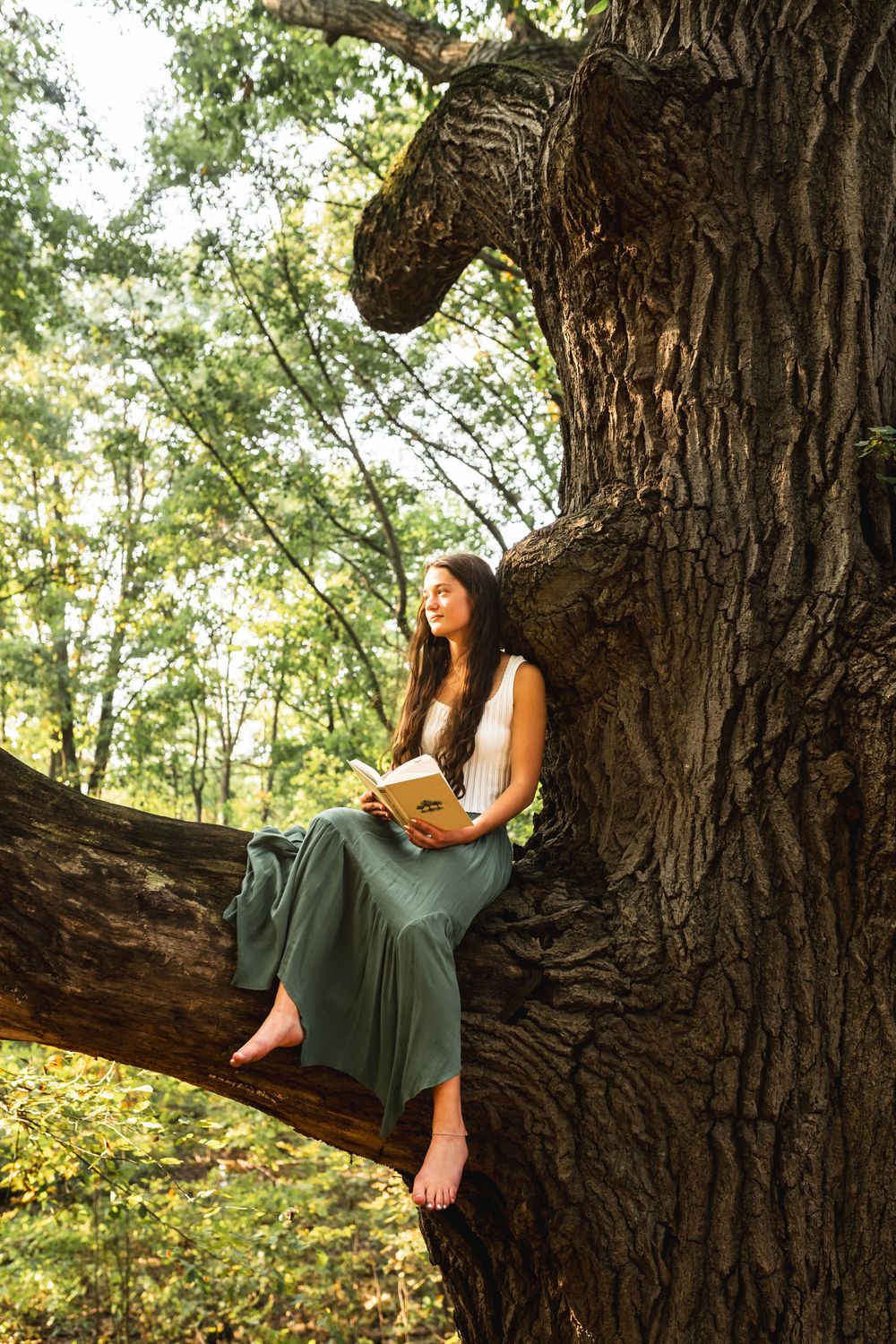 Portrait of a senior girl daydreaming on the branch of a large tree, while holding her favorite book.