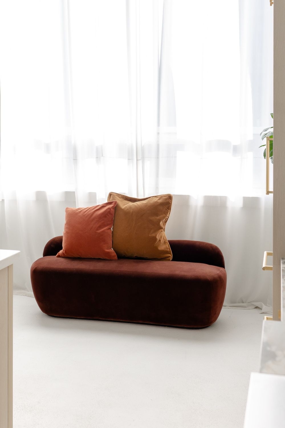Modern living room interior with brown curved sofas and sheer white curtains in a minimalist setting.
