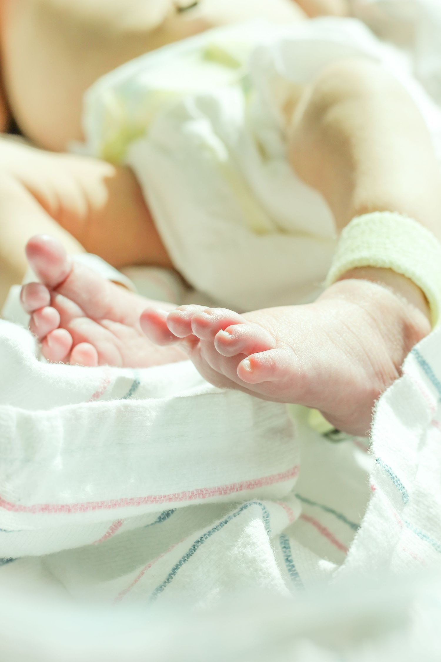 Port St Lucie, FL family photographer
PSL Family photographer
Treasure Coast family photographer
Treasure Coast newborn photographer