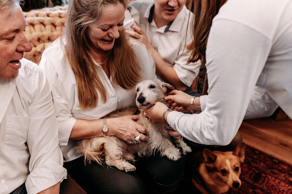 A small white dog receives attention and pets from people gathered on a couch while another dog watches nearby.