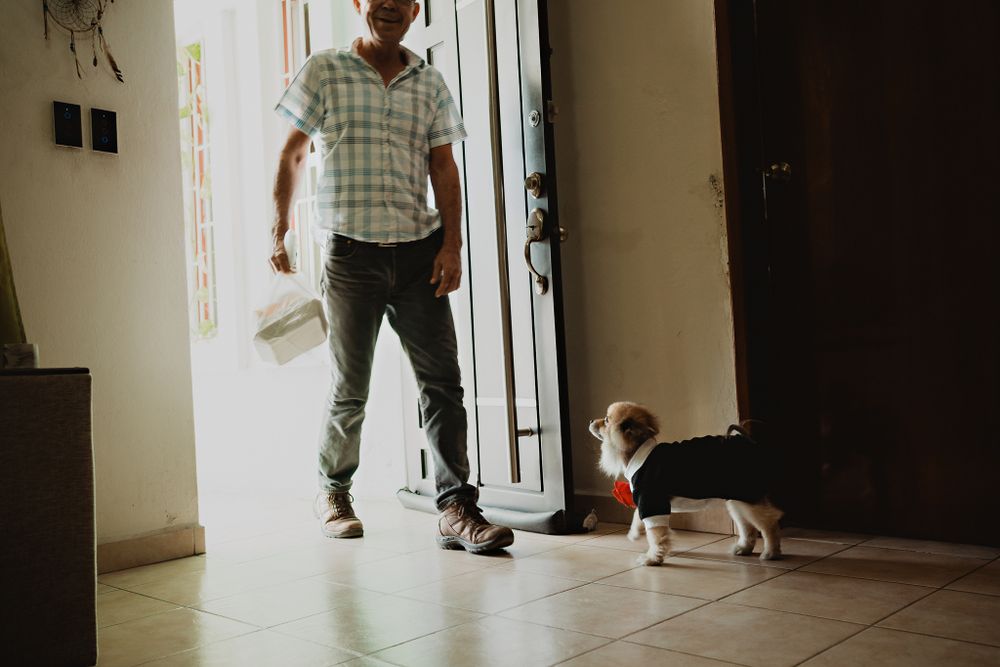 Bride’s father arriving home, greeted by the family pet, a special welcome