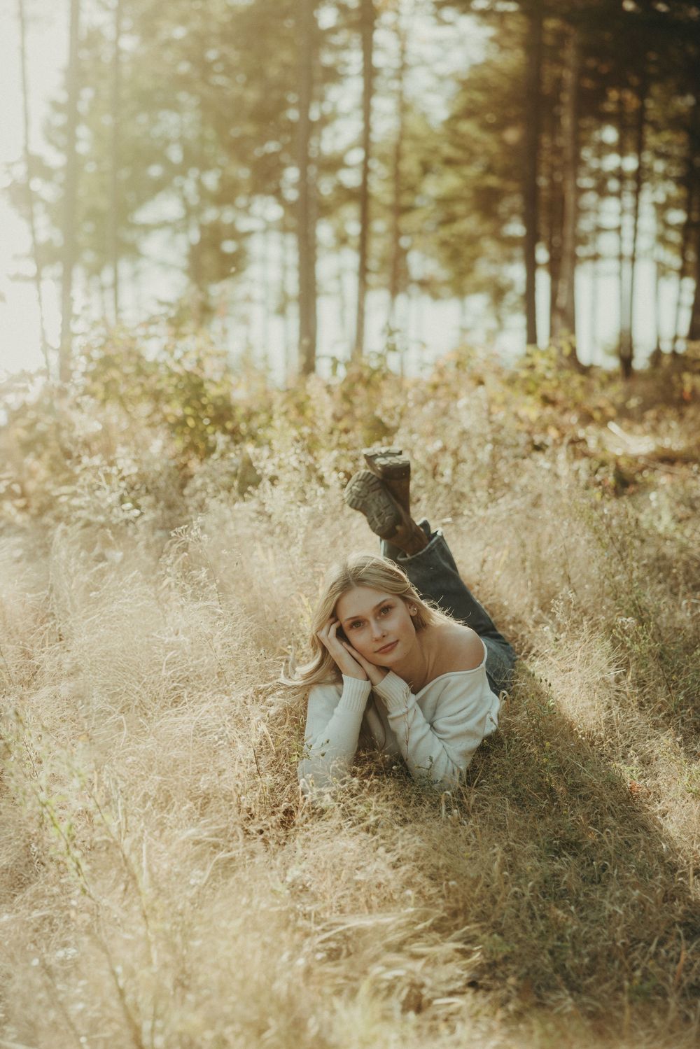 Ethereal forest portrait with pine trees and tall grass in warm afternoon light.
