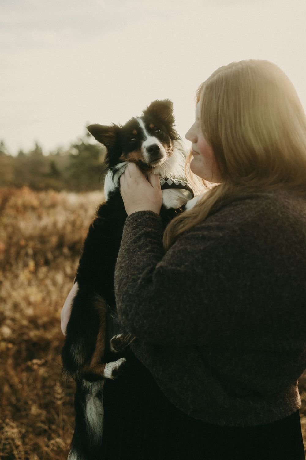 Someone in dark clothing holds up a black and white pet in a sunlit field.