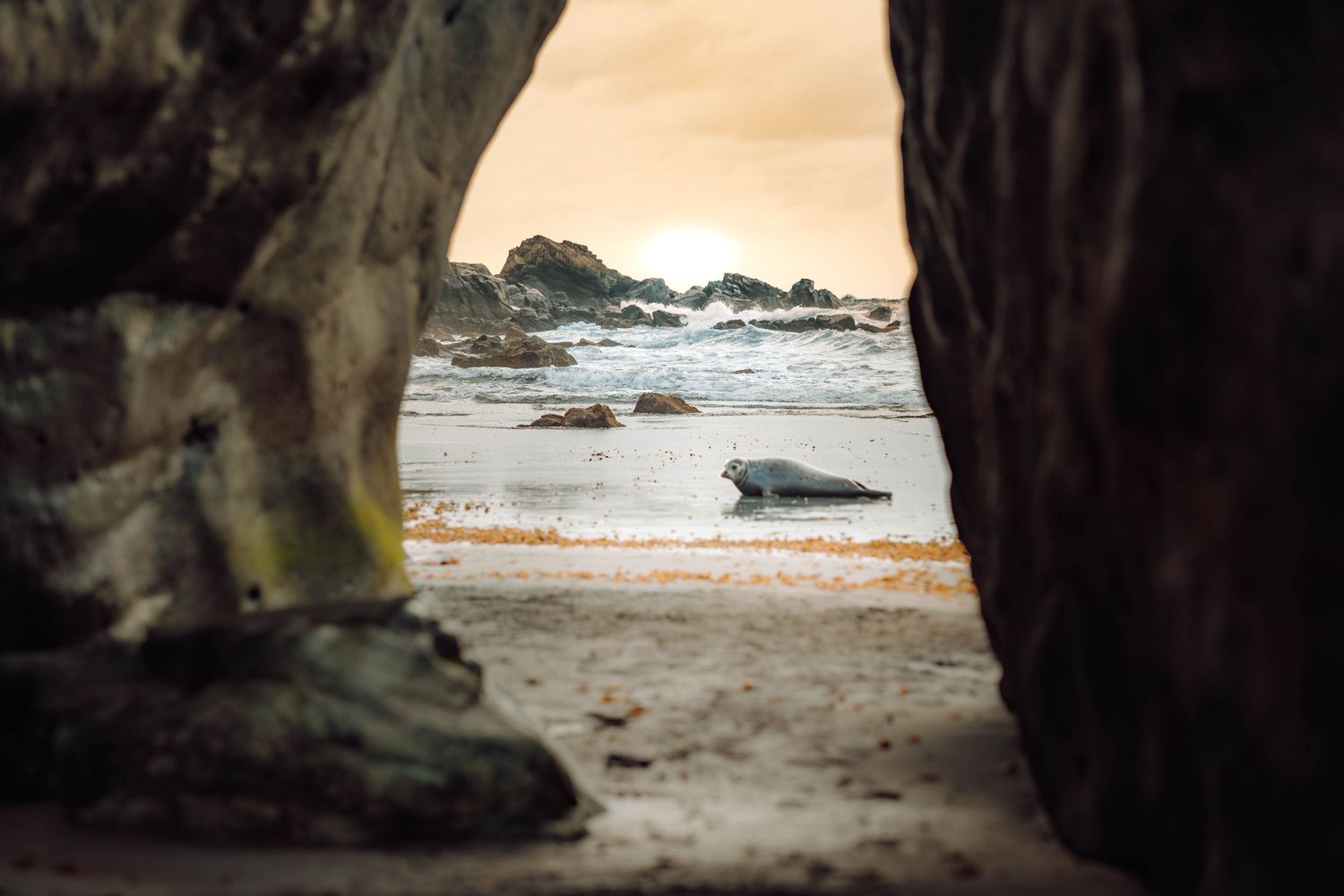 A serene maternity photoshoot at Playa Bollullo, Tenerife, Canary Islands. Celebrating the beauty of motherhood by the ocean's waves.