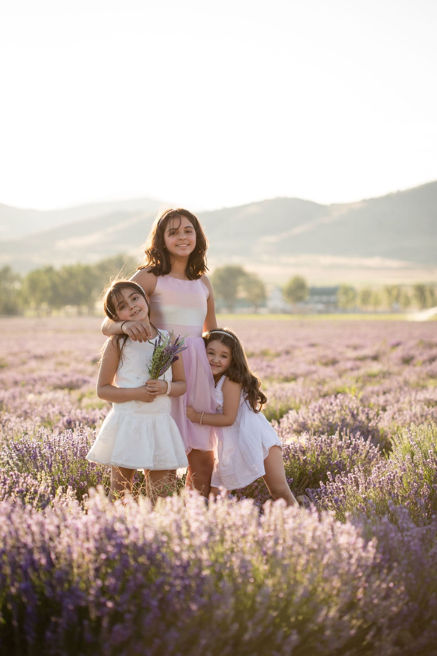 photoshoot at Mona Lavender Fields Utah Young Living Farm