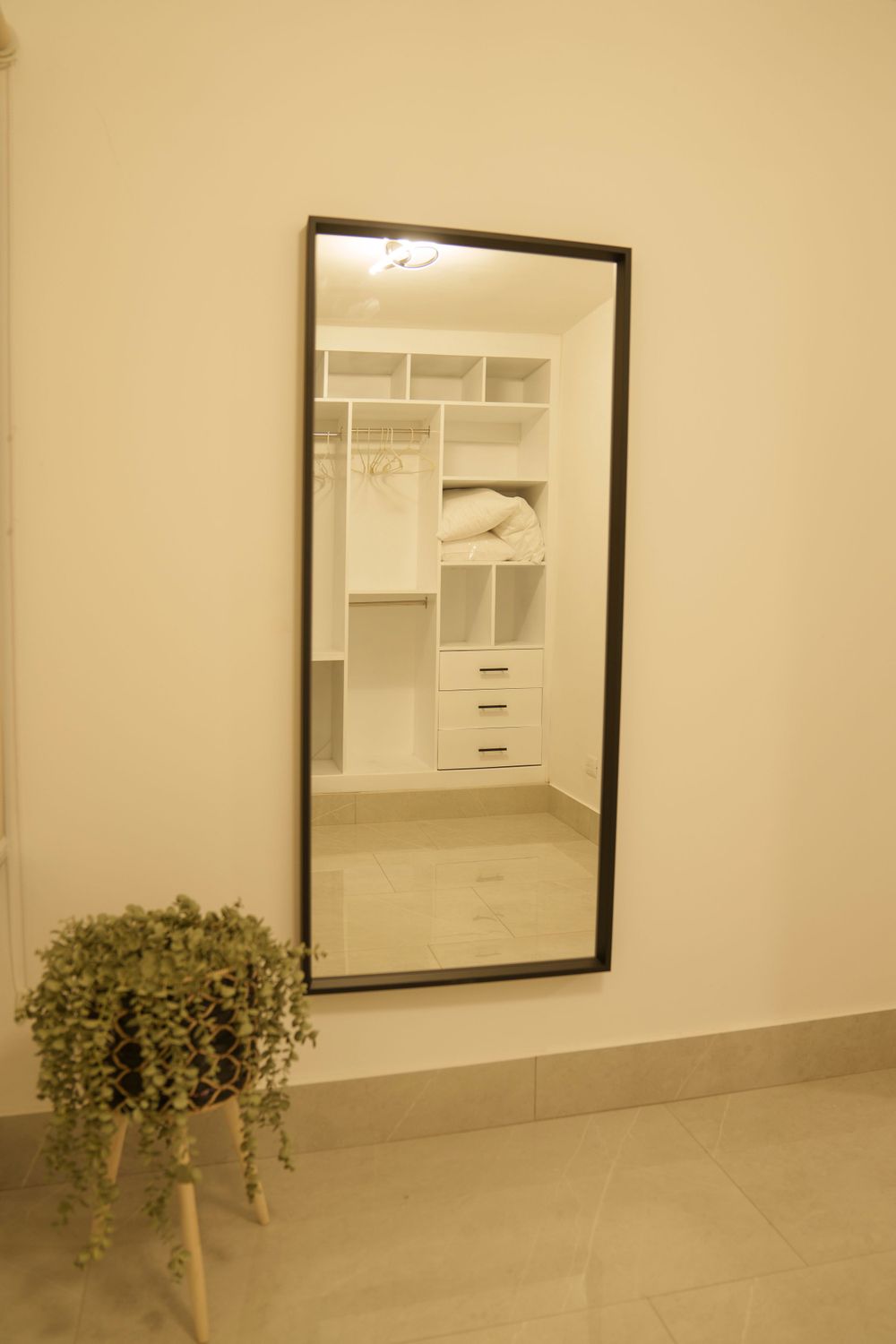 Full-length mirror reflection showing built-in white closet storage with a decorative plant.