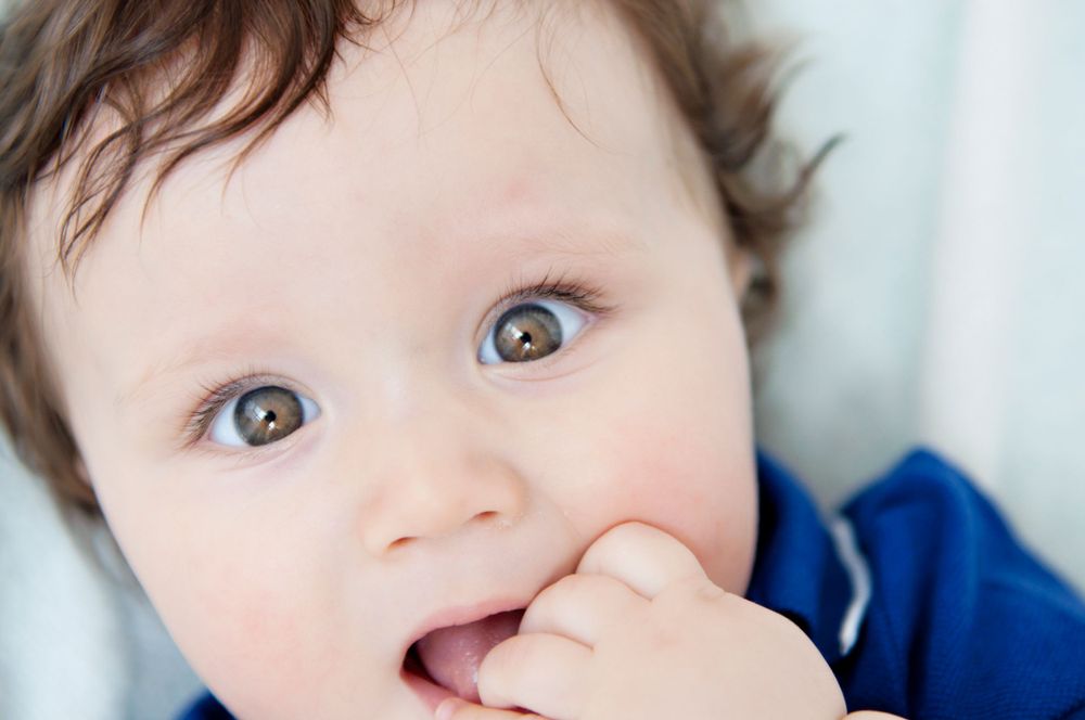 Curious baby boy in a blue shirt nibbling on his fingers, photographed by Phoebe Lee Photo in Toronto