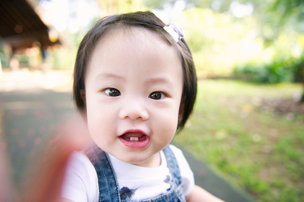 Curious toddler girl in a park looking at the camera, captured by Phoebe Lee Photo in Toronto