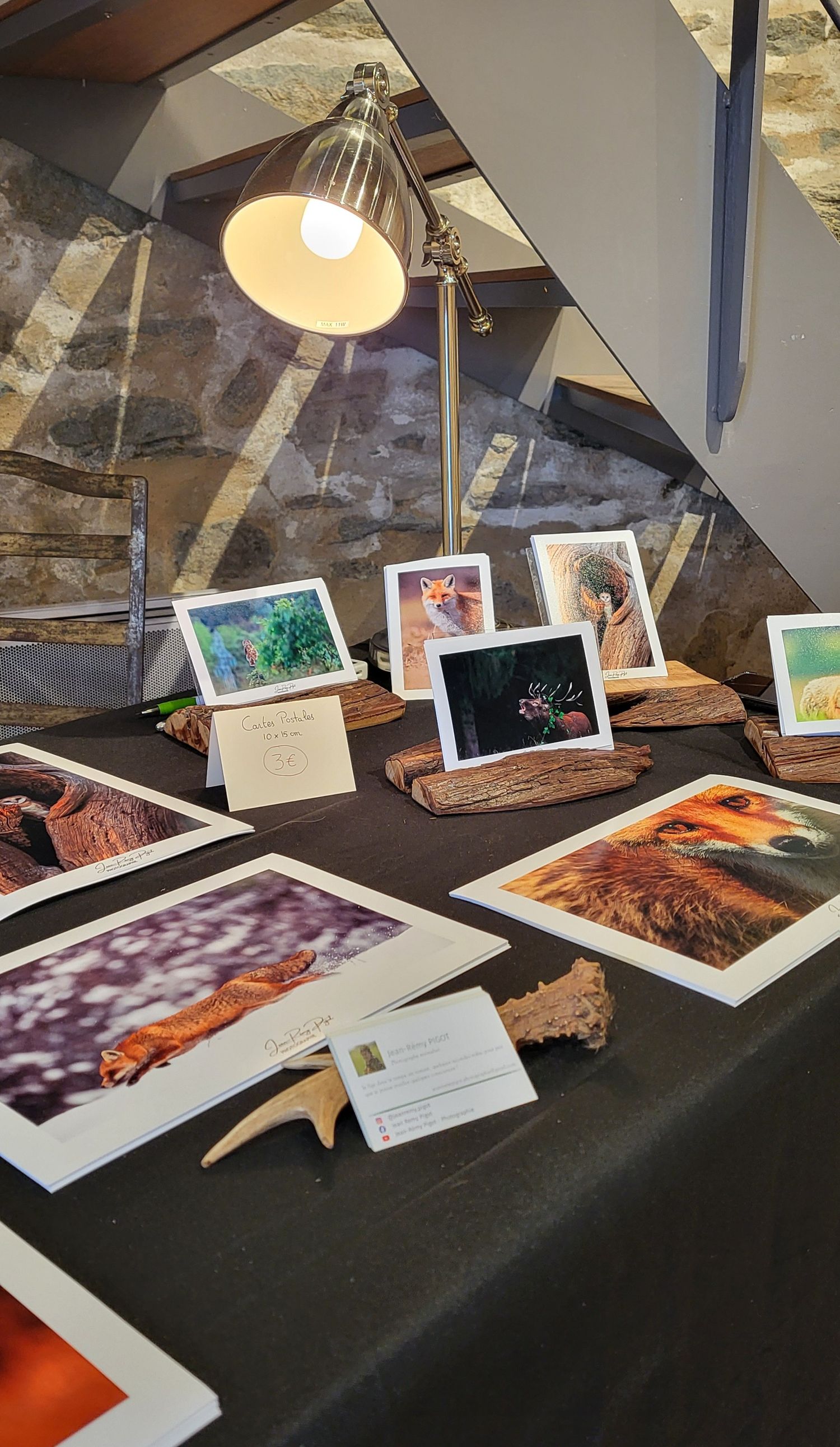 Photography display table with various prints and artwork illuminated by an overhead lamp.