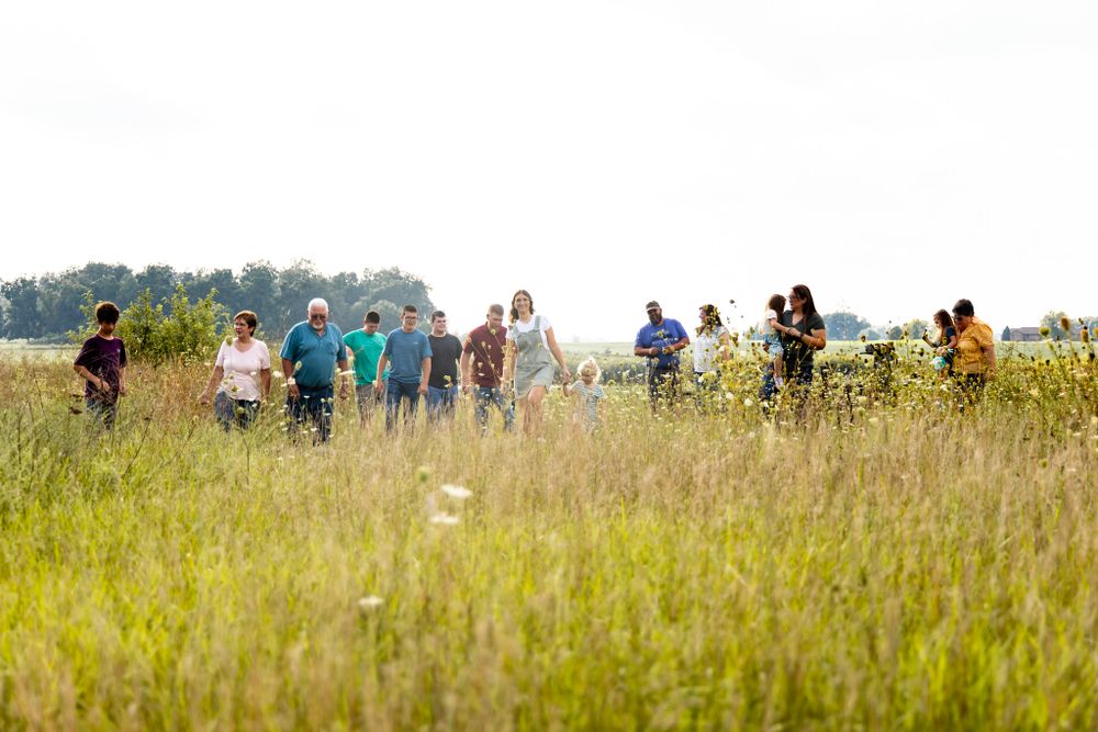 A large group of people walking through a sunlit meadow with tall grass.