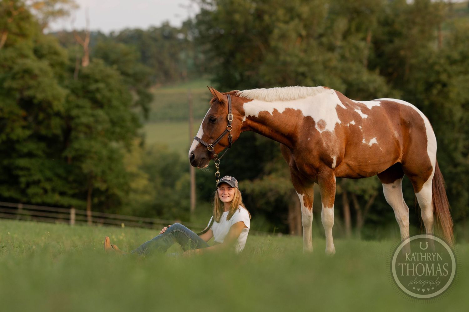 Paint horse stands in green field with companion sitting nearby during golden hour.
