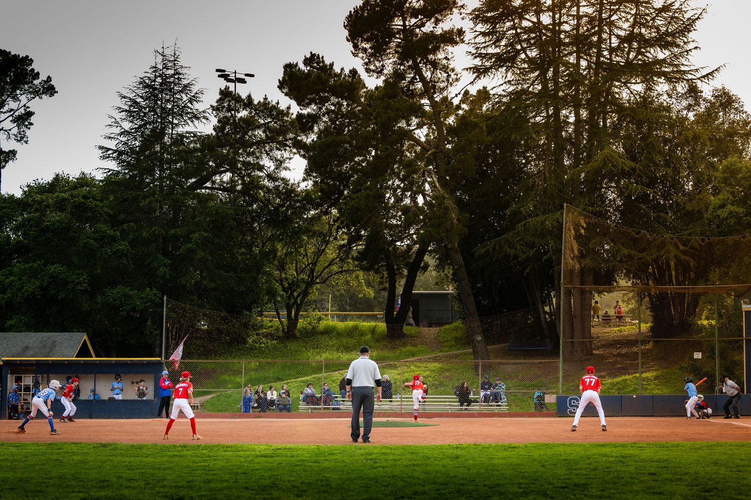 Baseball game at sunset with players and umpire on field surrounded by trees.