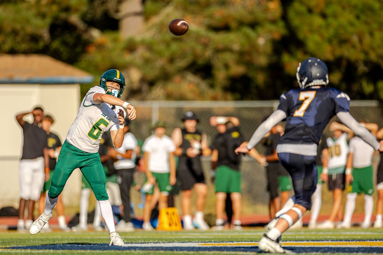 Dynamic sequence of football action shots showing players executing tackles and plays on a sunny field.
