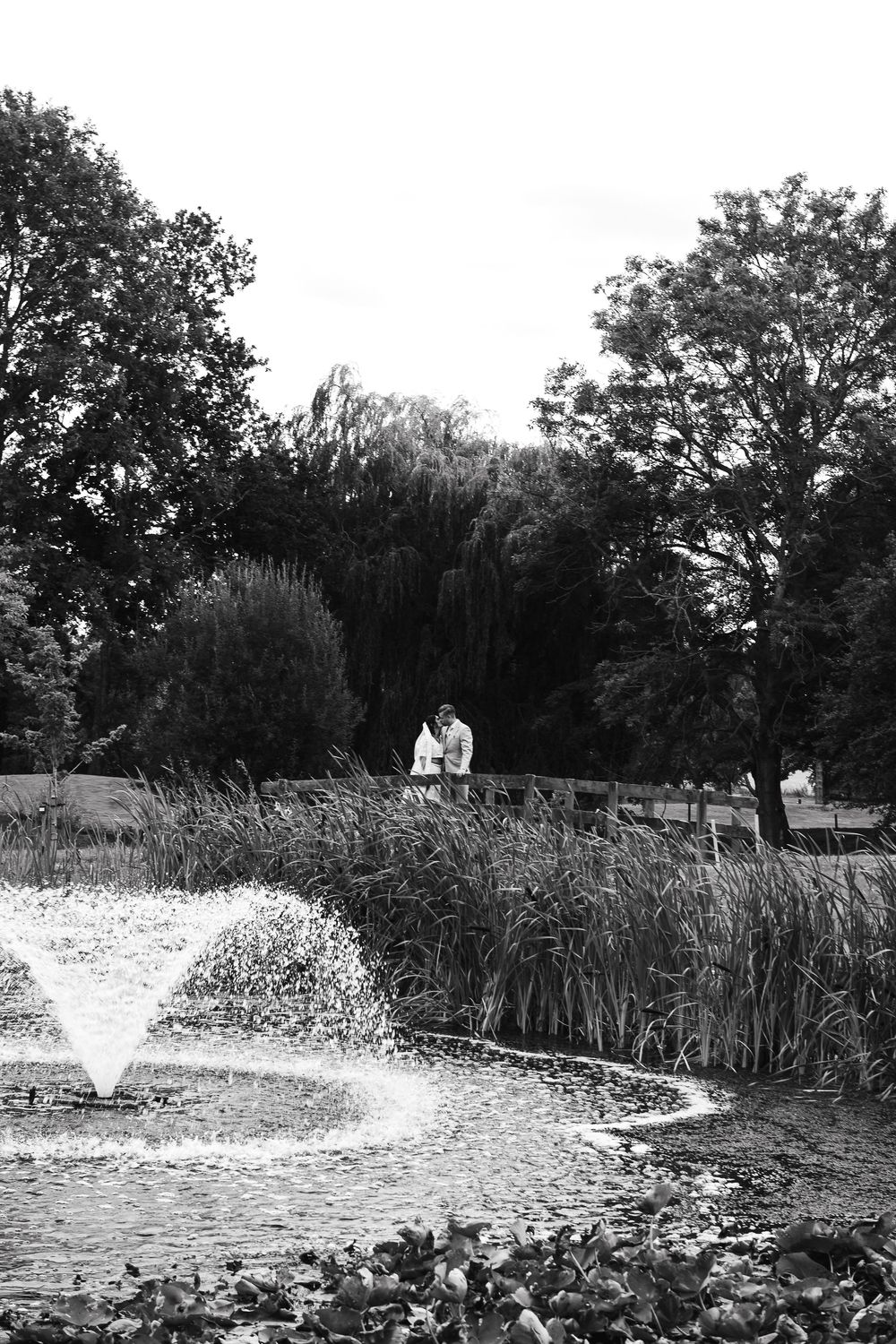 Black and white photo of a couple embracing near a fountain in a lush park with tall trees and reeds.