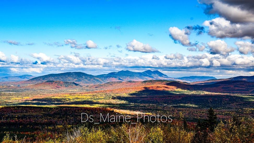 Fall Foliage