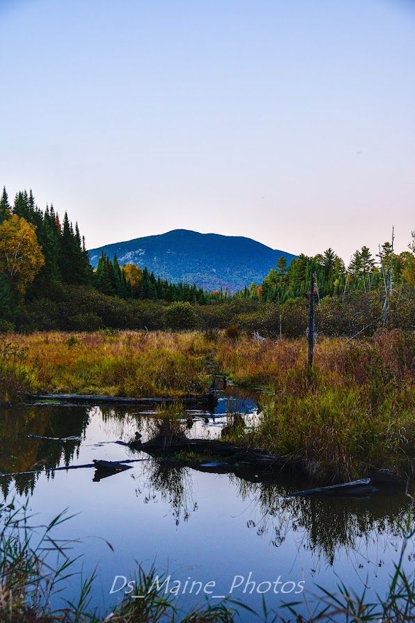 Northern Maine Fall Foliage