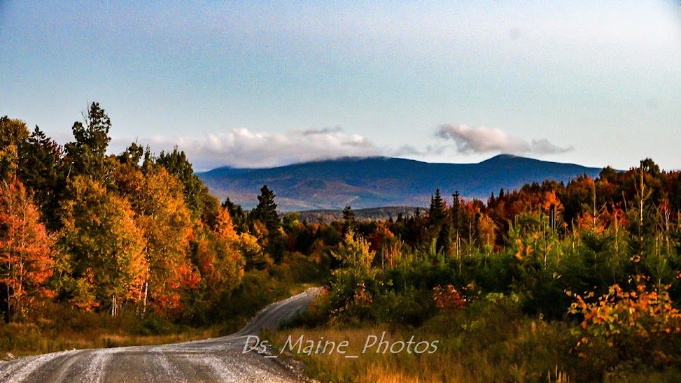 Maine Fall Foliage