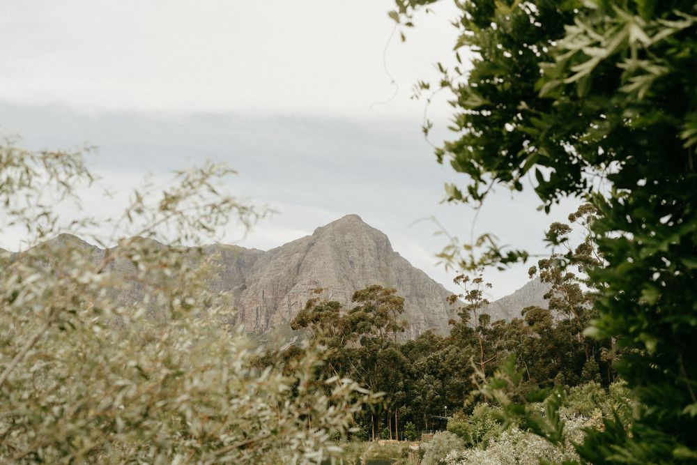 A mountain peak rises through green foliage against a bright sky.