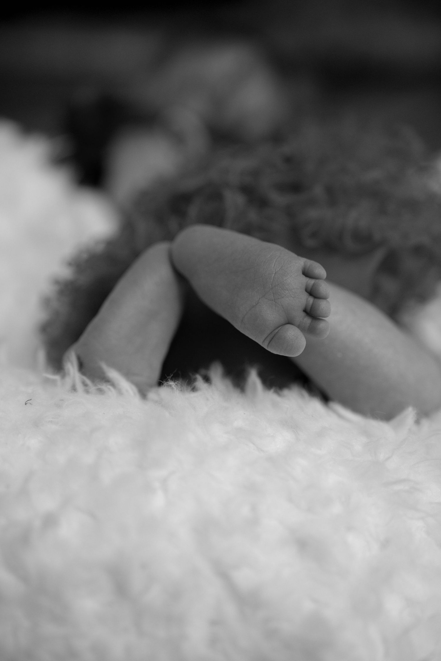 newborn feet in black and white, captured in South Lake Tahoe.