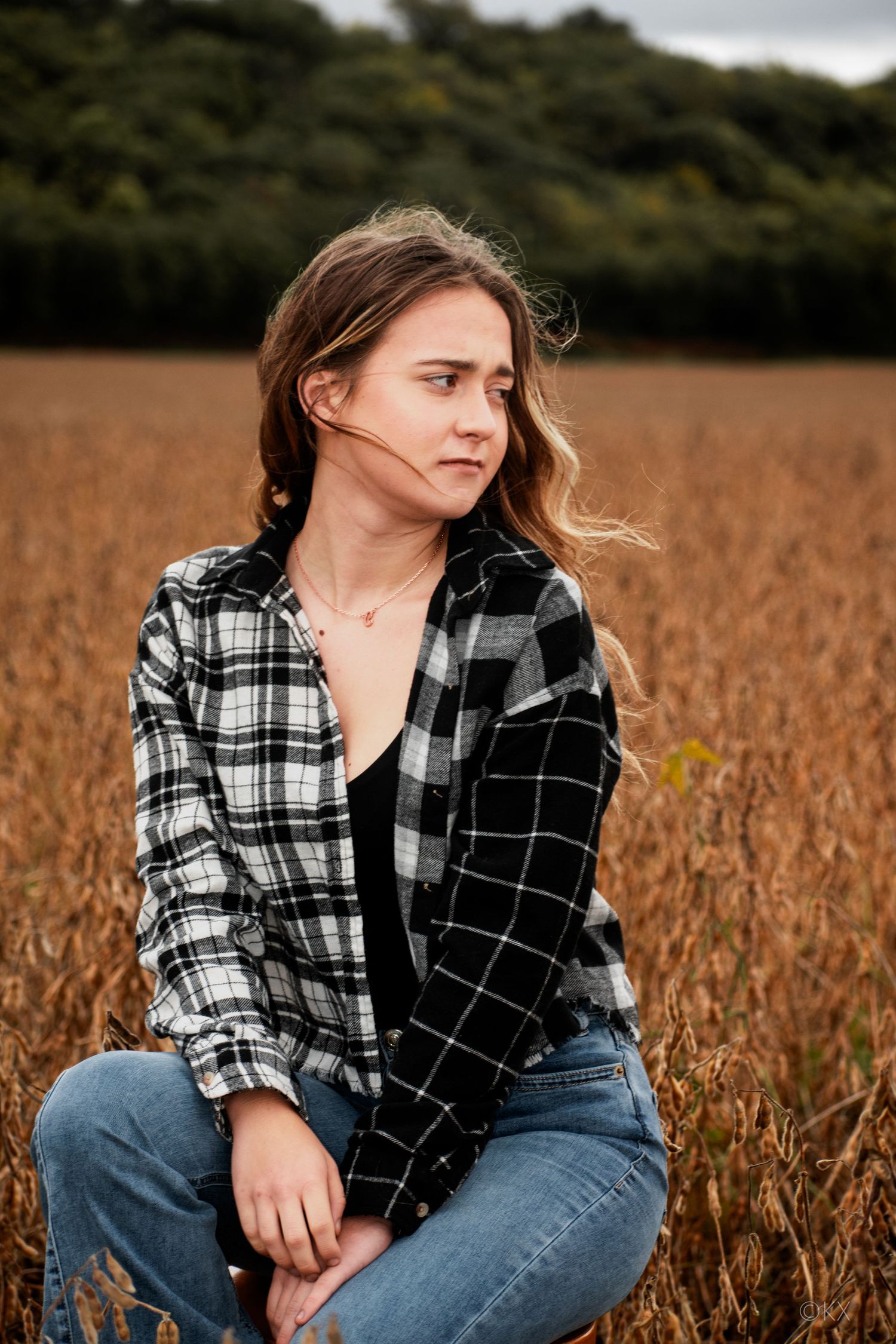 in the fields