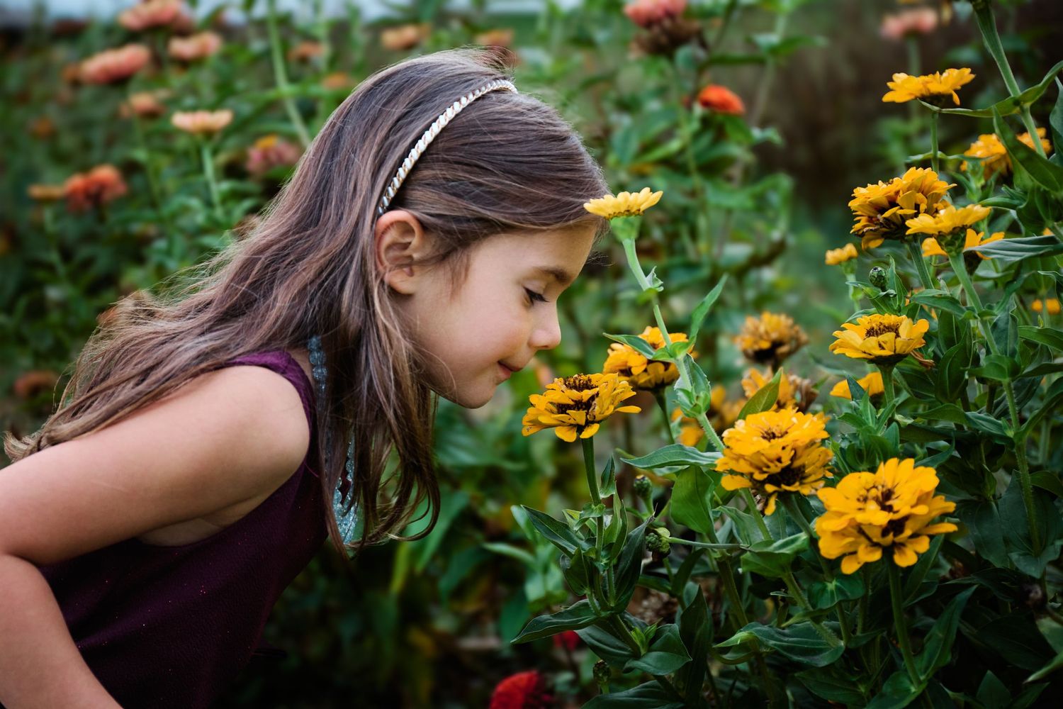 Young girl in purple dress smelling vibrant orange flowers in garden.