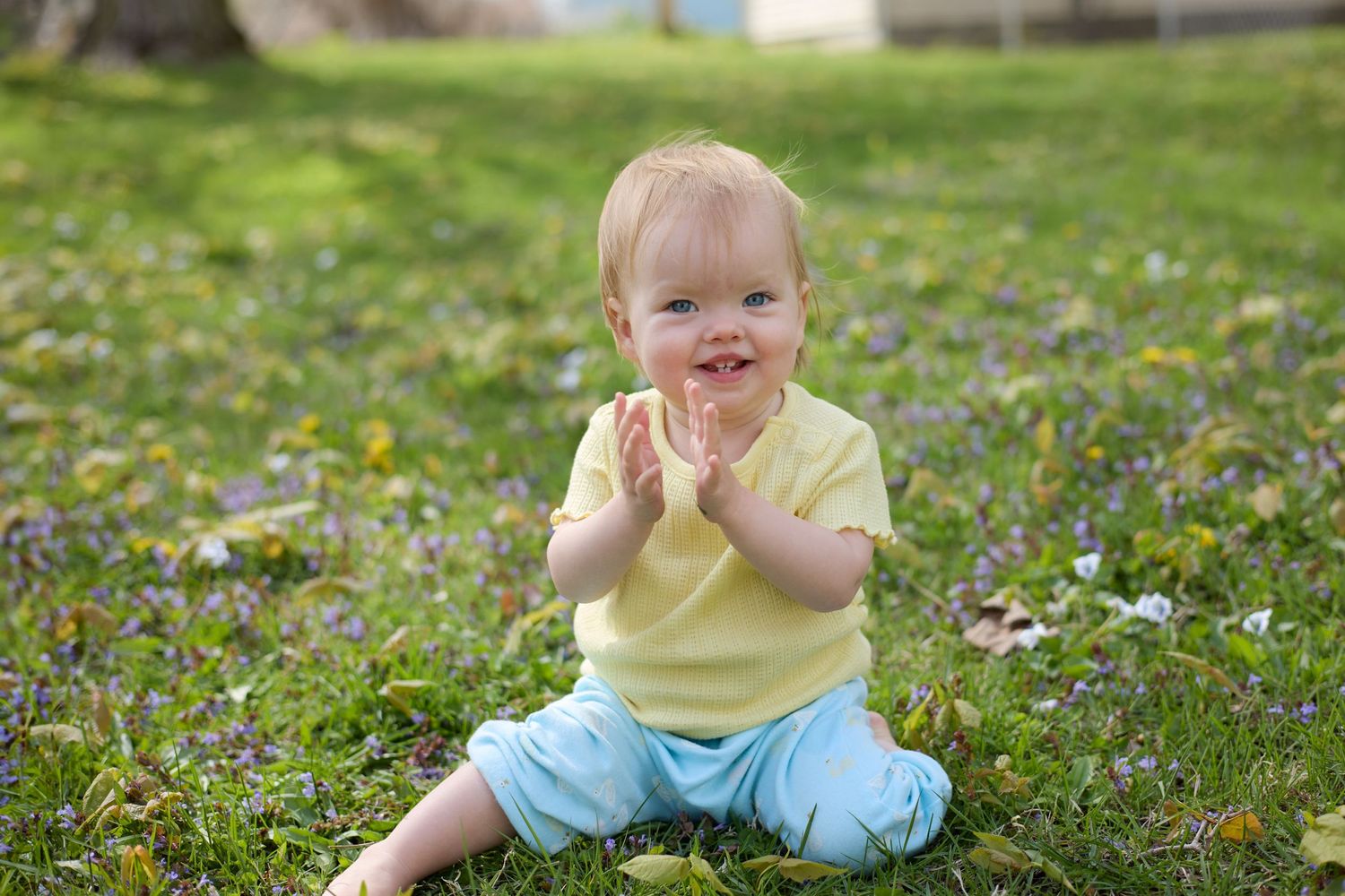 Small child in yellow shirt sitting in grass with dandelions, smiling with hands clasped.
