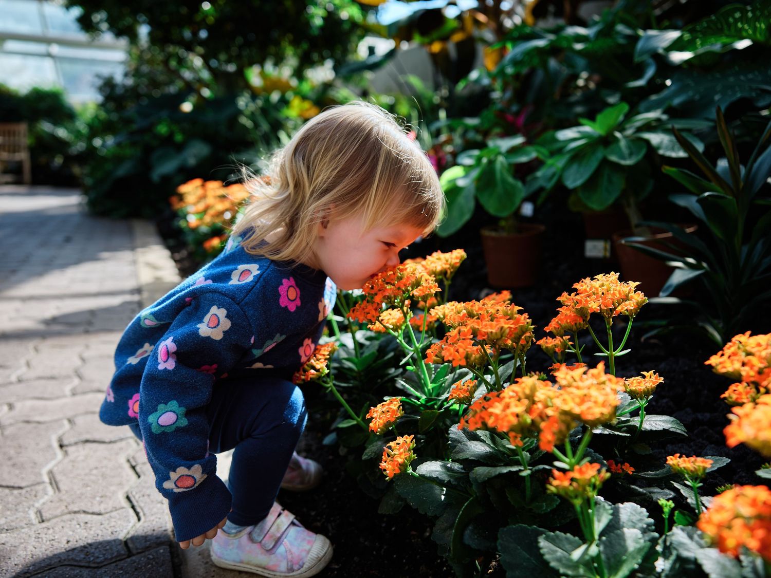 A small child in a floral dress bends down to smell vibrant orange flowers along a garden path.