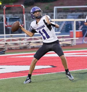 Quarterback in white and purple uniform prepares to throw pass during game.