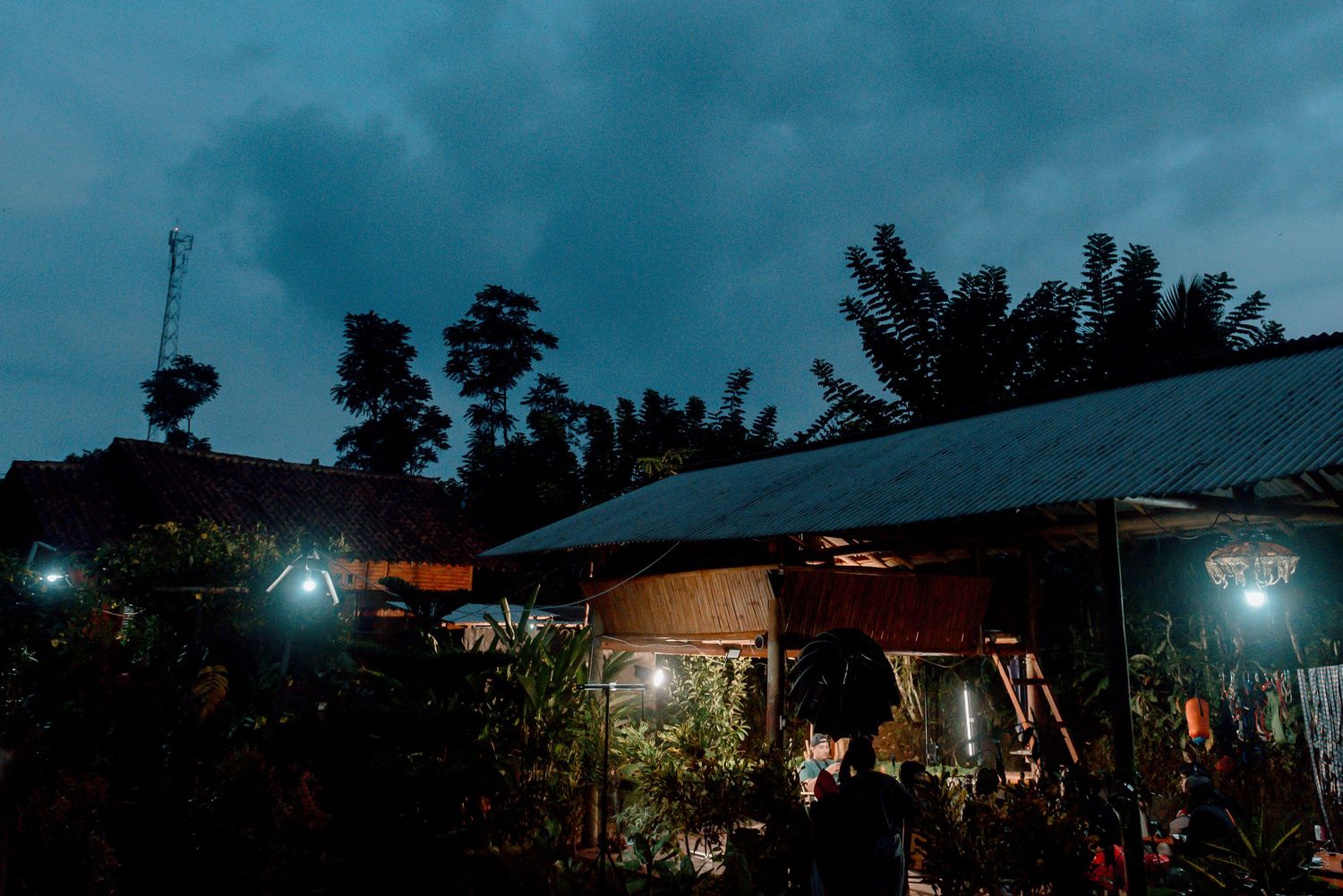 Silhouetted rooflines and trees against a dusky blue sky with glowing lights visible in the distance.