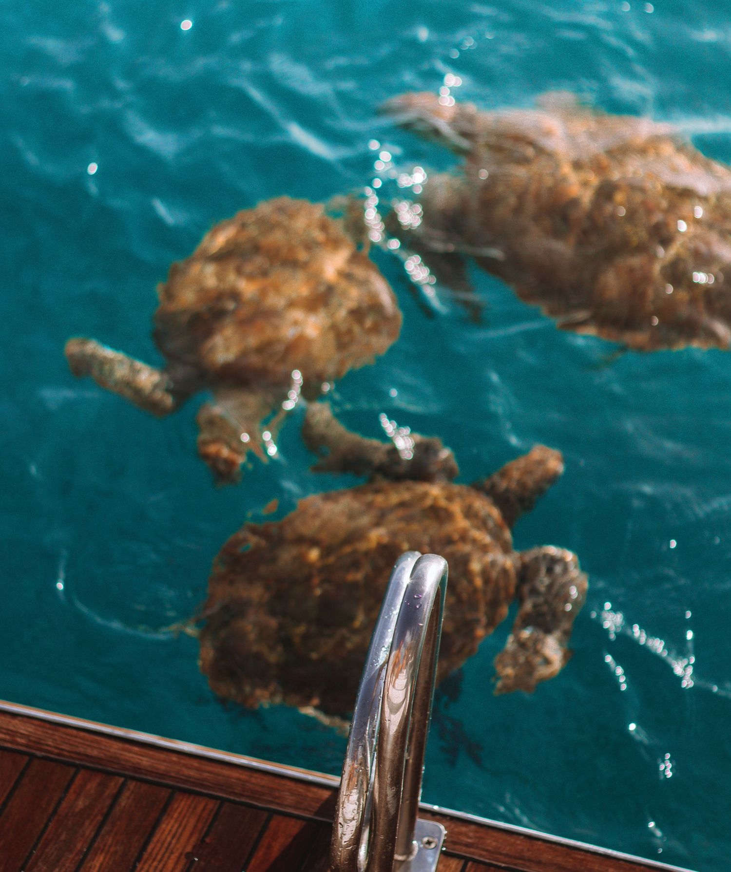 Turquoise ocean water splashing against rocks near a wooden deck or pier.