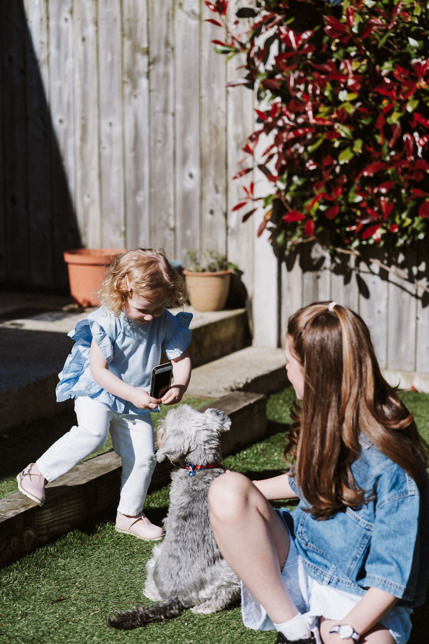 Two people enjoying coffee and spending time with a small gray dog on artificial turf in a sunny backyard setting.