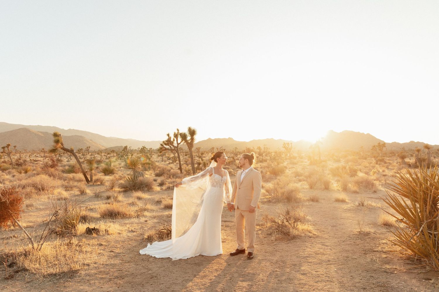 A couple in wedding attire walks hand in hand through Joshua Tree National Park at golden hour sunset.