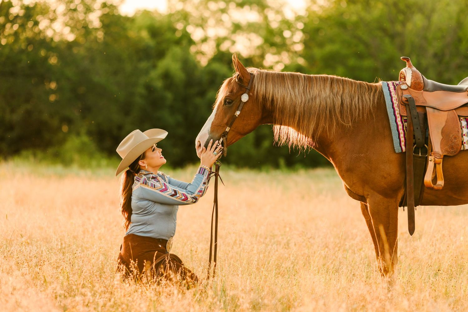 A group of horses graze in a golden field during sunset while their saddles and tack remain visible.