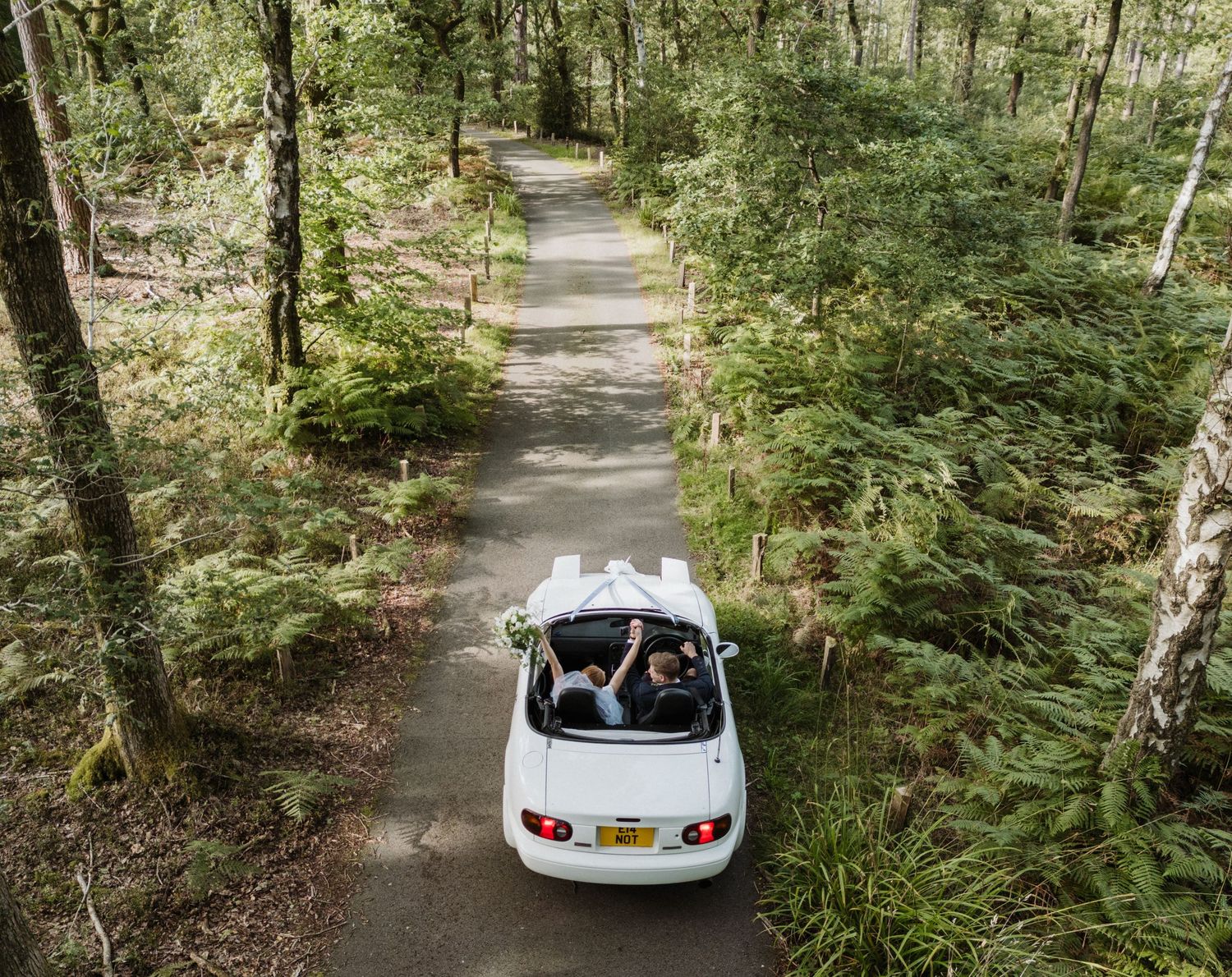 A scenic wooded path with a white car visible through the trees.